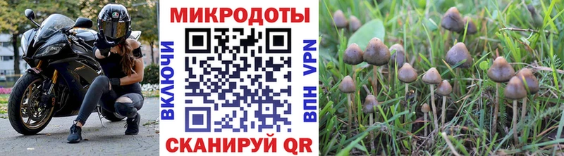 Галлюциногенные грибы мицелий  МЕГА рабочий сайт  Геленджик 